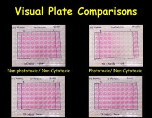 Phototoxicity Comparisons: Comparison of the responses between phototoxic and non-phototoxic test materials.