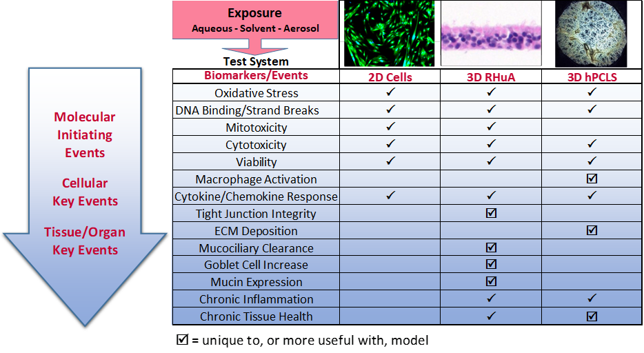 Non Animal Testing, Alternative Test Methods, In Vitro Toxicology, IIVS |  Test Systems